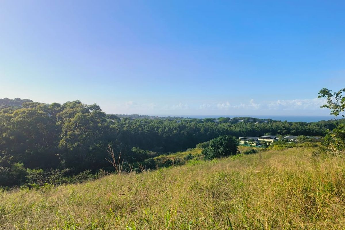VACANT STAND FOR DOUBLE STOREY HOME DIRECTLY FROM THE DEVELOPER - Photo 4