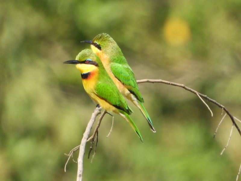 VACANT STAND IN SALT ROCK - NO TRANSFER DUTIES - Photo 8