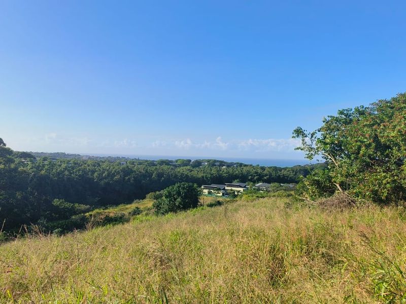 VACANT STAND IN SALT ROCK - NO TRANSFER DUTIES - Photo 8