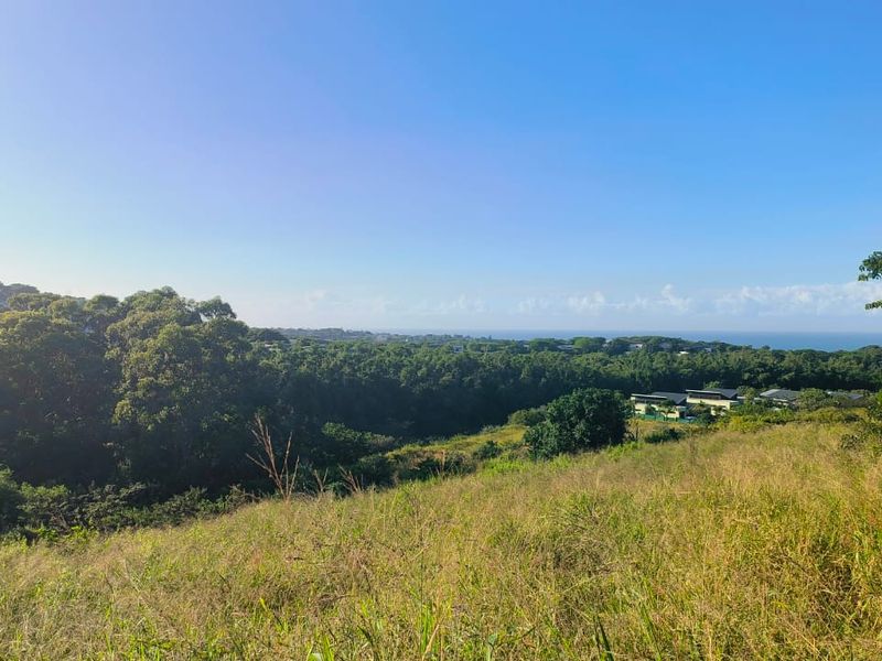 VACANT STAND IN SALT ROCK - NO TRANSFER DUTIES - Photo 8