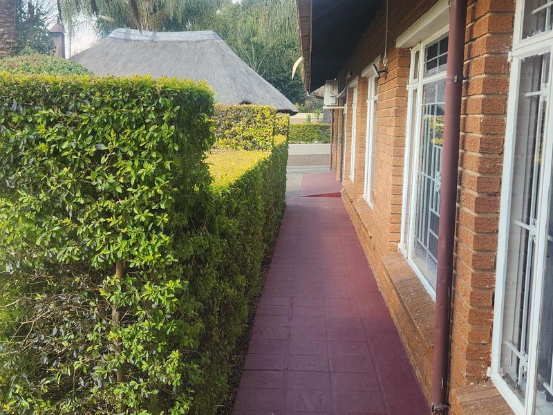 A side walkway featuring a painted tiled path, brick exterior walls, and established garden hedging alongside the property.