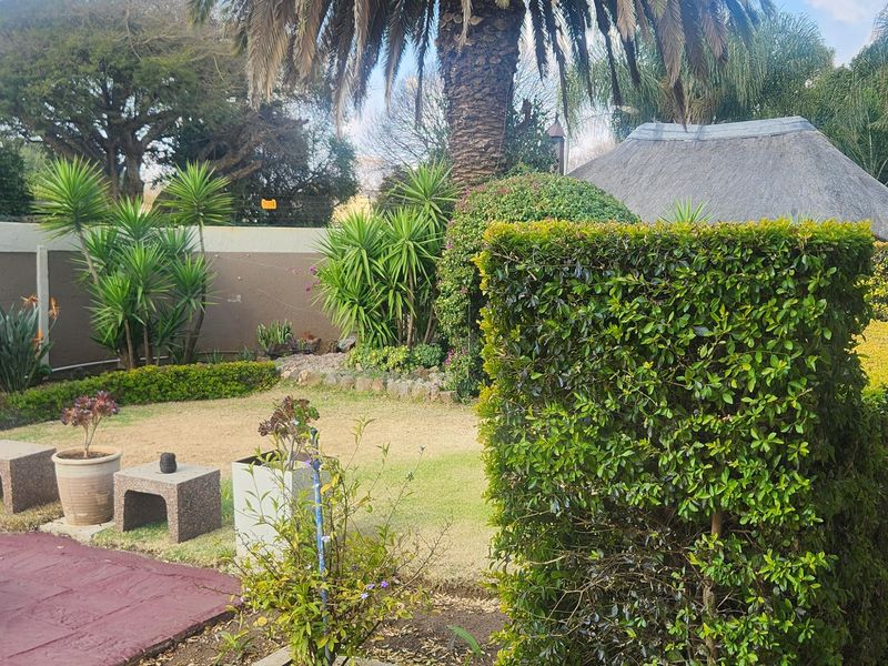 A well-maintained garden featuring a large palm tree, manicured hedges, a paved patio area, and a glimpse of a thatched roof structure.