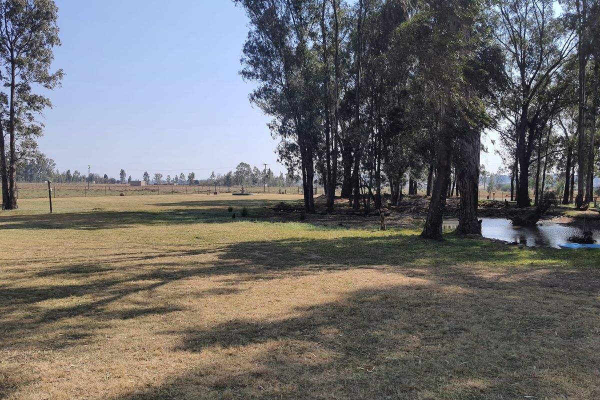 3 x Beautifull Homes On A 2.2 Hectar Plot In Dreamlands, Next To Roshnee. - Photo 4