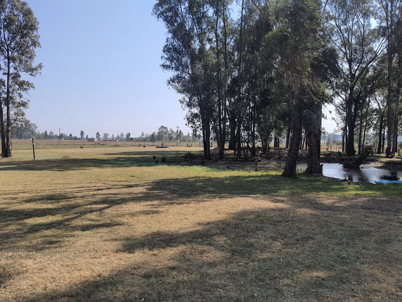 3 x Beautifull Homes On A 2.2 Hectar Plot In Dreamlands, Next To Roshnee. - Photo 4