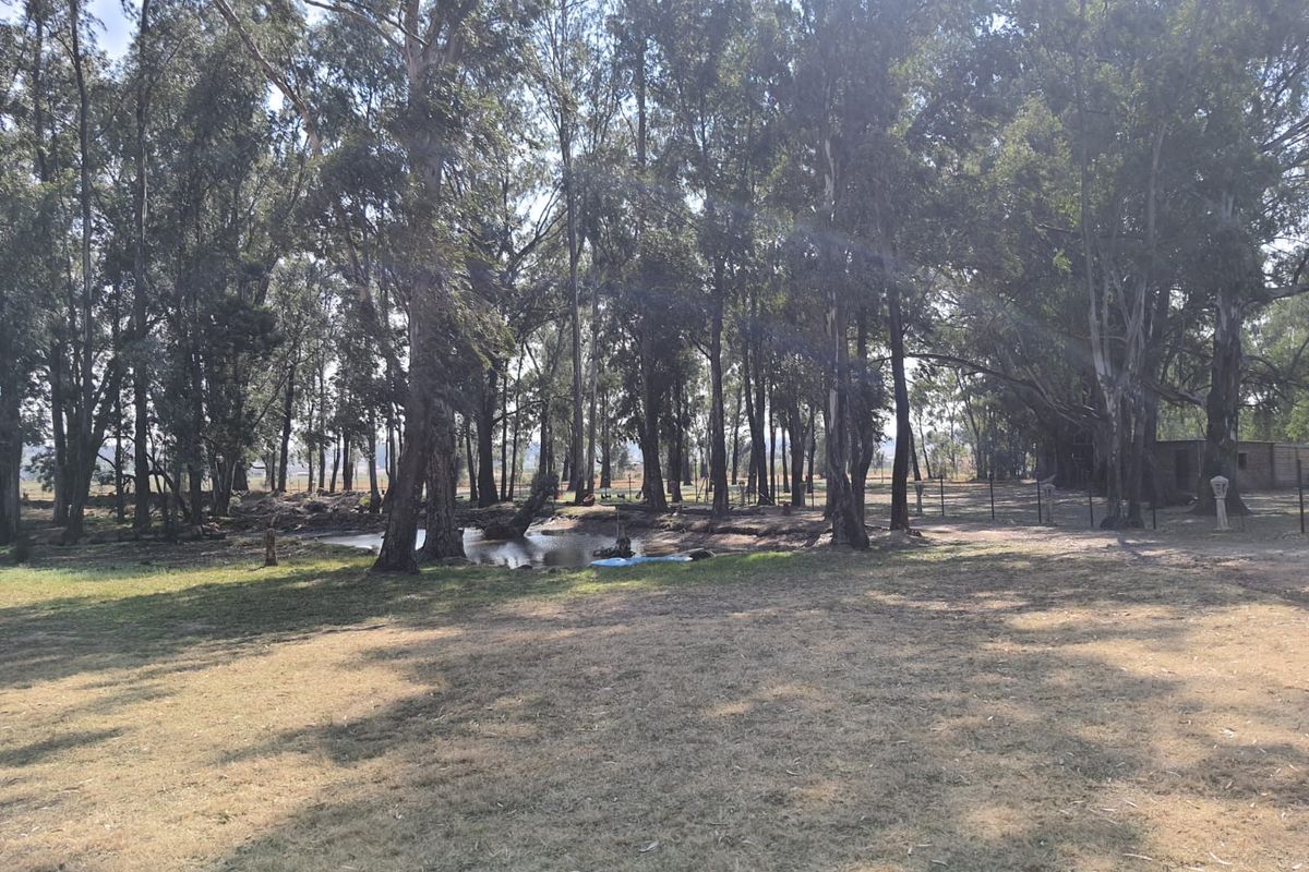 3 x Beautifull Homes On A 2.2 Hectar Plot In Dreamlands, Next To Roshnee. - Photo 3