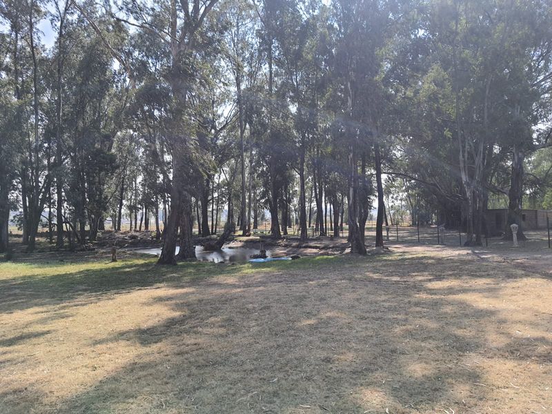 3 x Beautifull Homes On A 2.2 Hectar Plot In Dreamlands, Next To Roshnee. - Photo 3