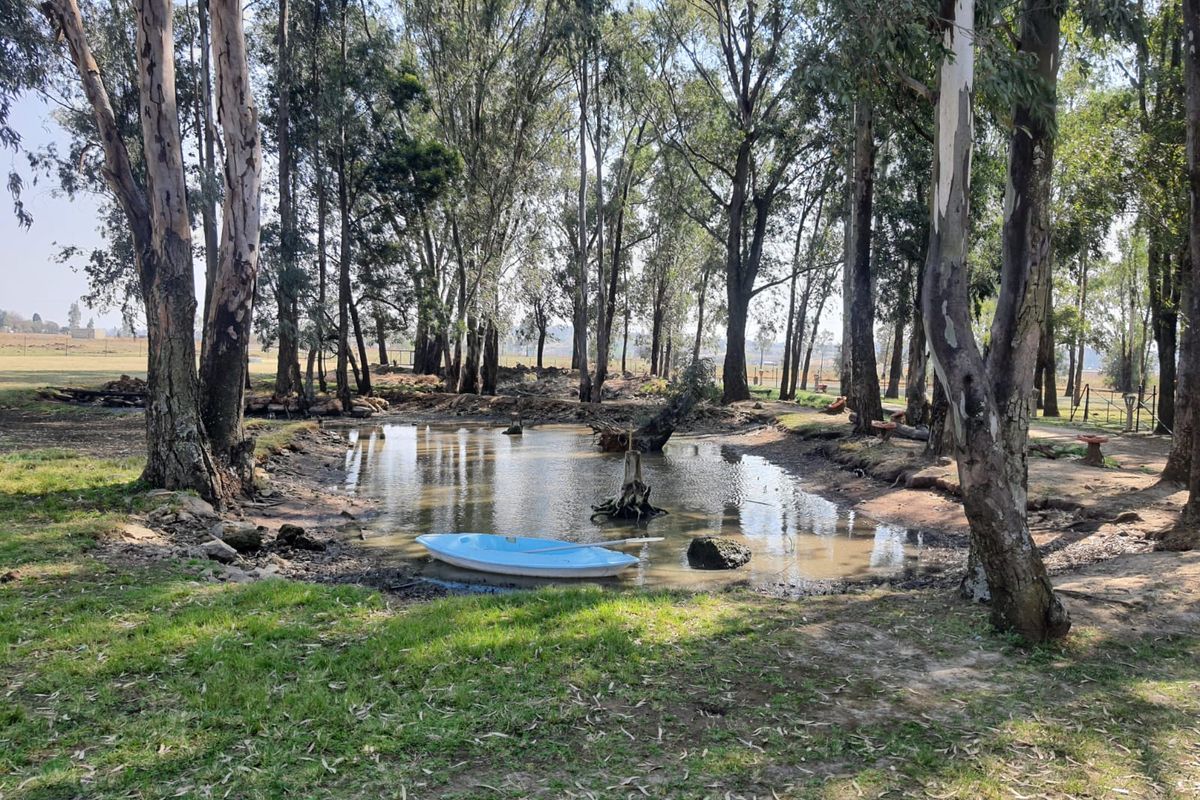 3 x Beautifull Homes On A 2.2 Hectar Plot In Dreamlands, Next To Roshnee. - Photo 5