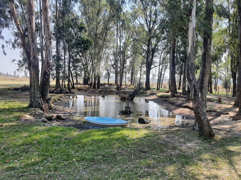 3 x Beautifull Homes On A 2.2 Hectar Plot In Dreamlands, Next To Roshnee. - Photo 5