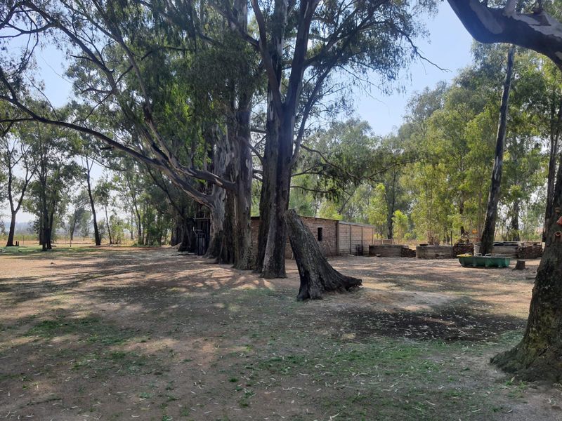 3 x Beautifull Homes On A 2.2 Hectar Plot In Dreamlands, Next To Roshnee. - Photo 8