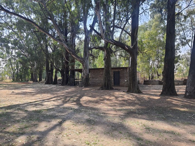 3 x Beautifull Homes On A 2.2 Hectar Plot In Dreamlands, Next To Roshnee. - Photo 7