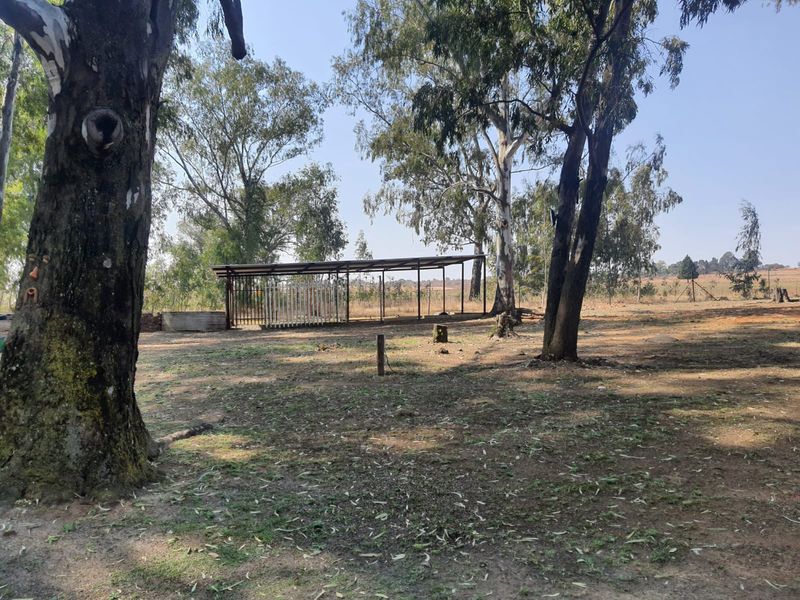 3 x Beautifull Homes On A 2.2 Hectar Plot In Dreamlands, Next To Roshnee. - Photo 6