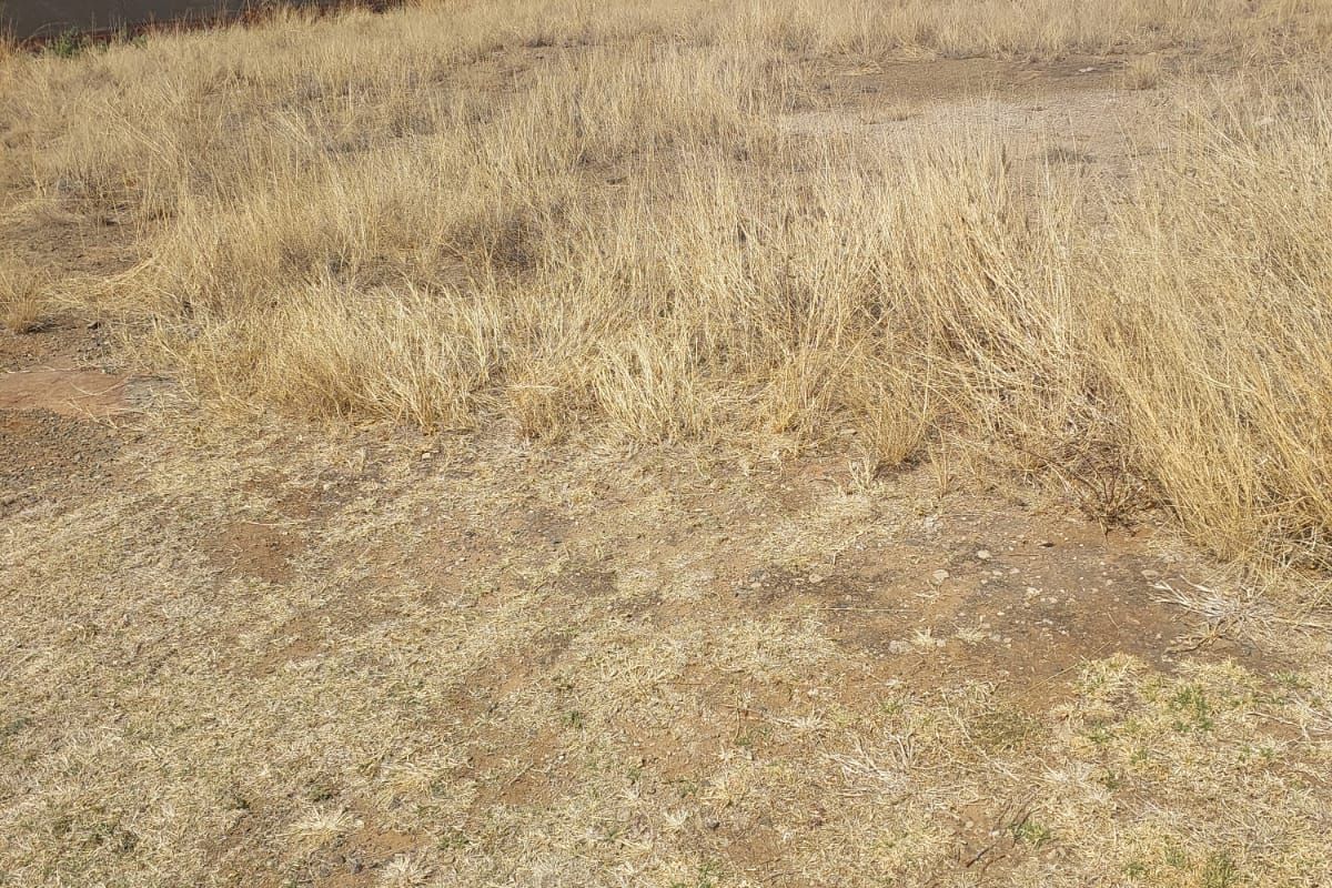 Northern Suburb Gem! Your Dream Begins Here - Photo 3