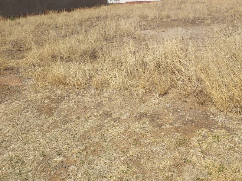 Northern Suburb Gem! Your Dream Begins Here - Photo 3