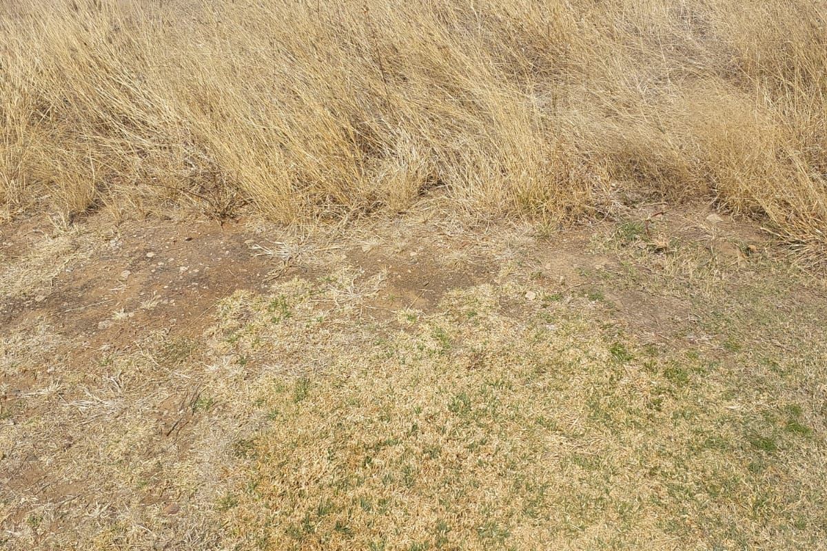 Northern Suburb Gem! Your Dream Begins Here - Photo 2