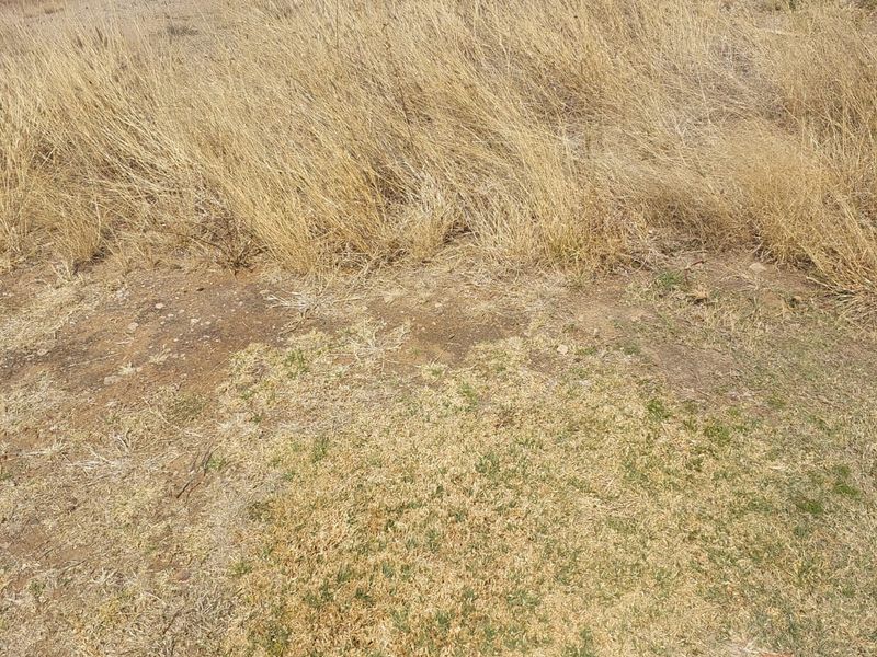 Northern Suburb Gem! Your Dream Begins Here - Photo 2