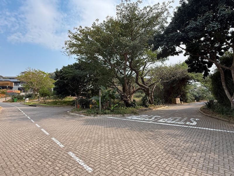 Build Your Dream Home on this Prime Estate Stand - Photo 7