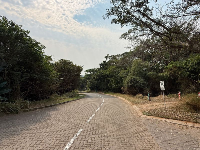 Build Your Dream Home on this Prime Estate Stand - Photo 8