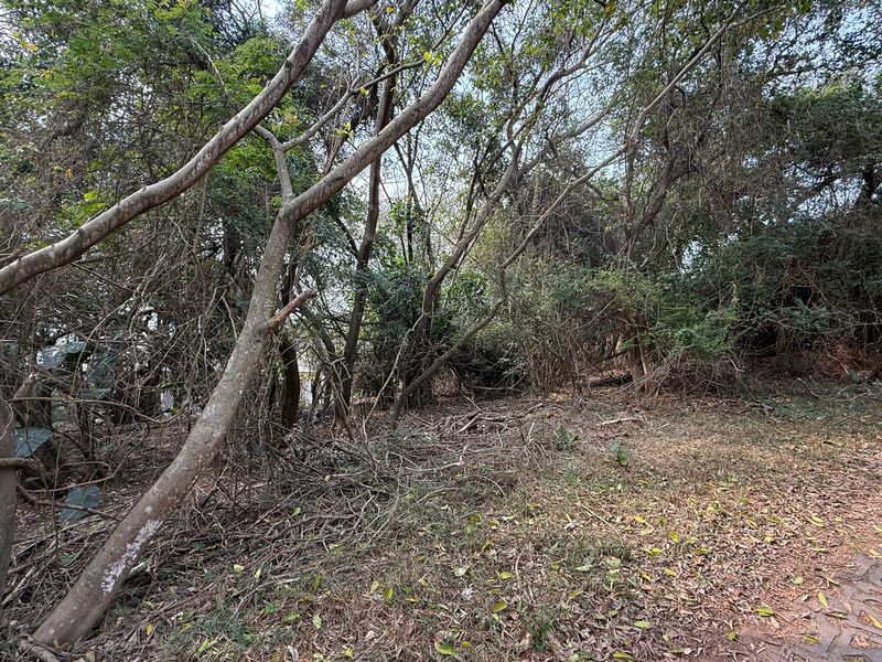 Build Your Dream Home on this Prime Estate Stand - Photo 9