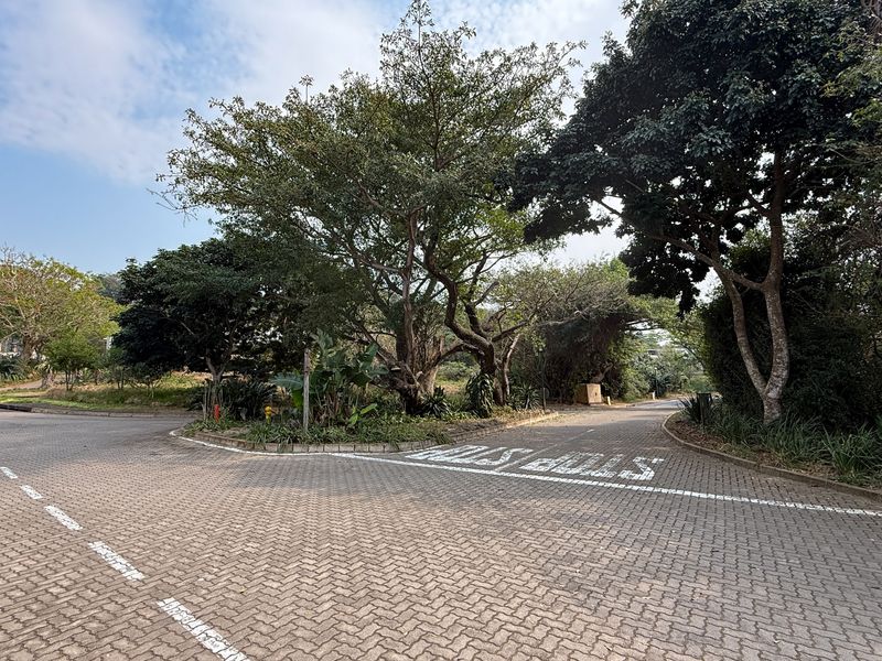 Build Your Dream Home on this Prime Estate Stand - Photo 6