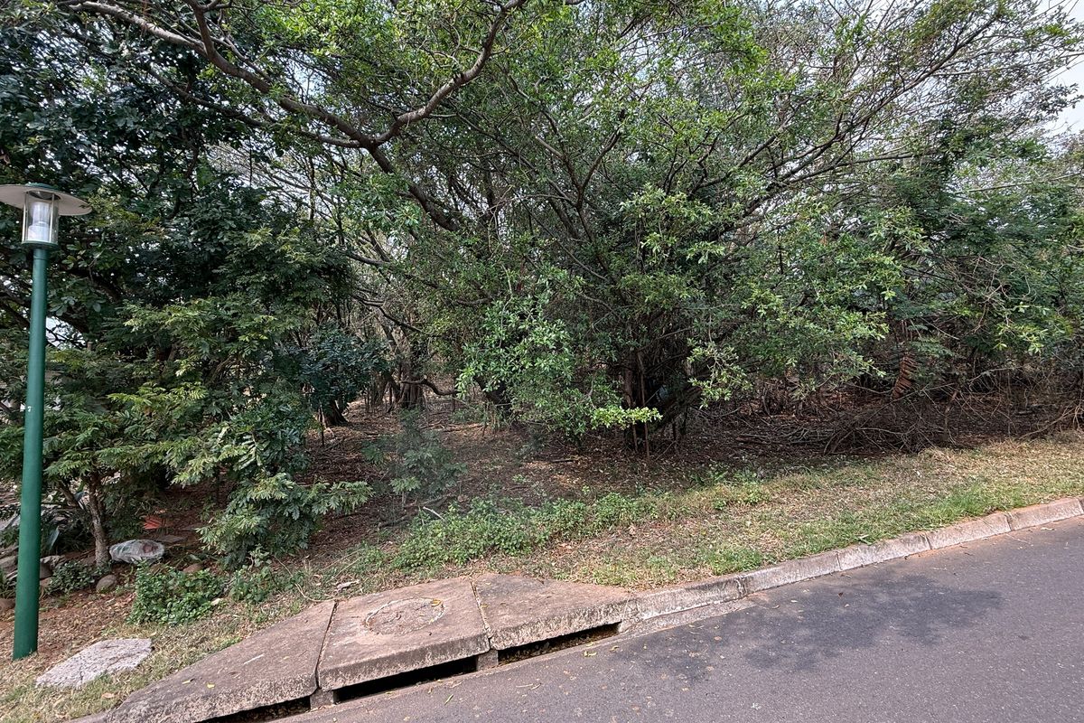 Build Your Dream Home on this Prime Estate Stand - Photo 3