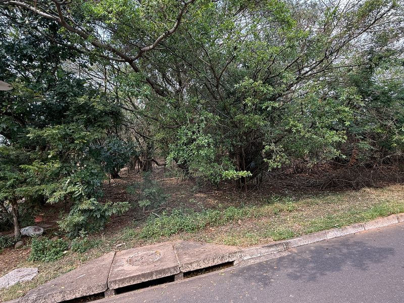 Build Your Dream Home on this Prime Estate Stand - Photo 3