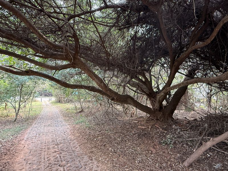 Build Your Dream Home on this Prime Estate Stand - Photo 2