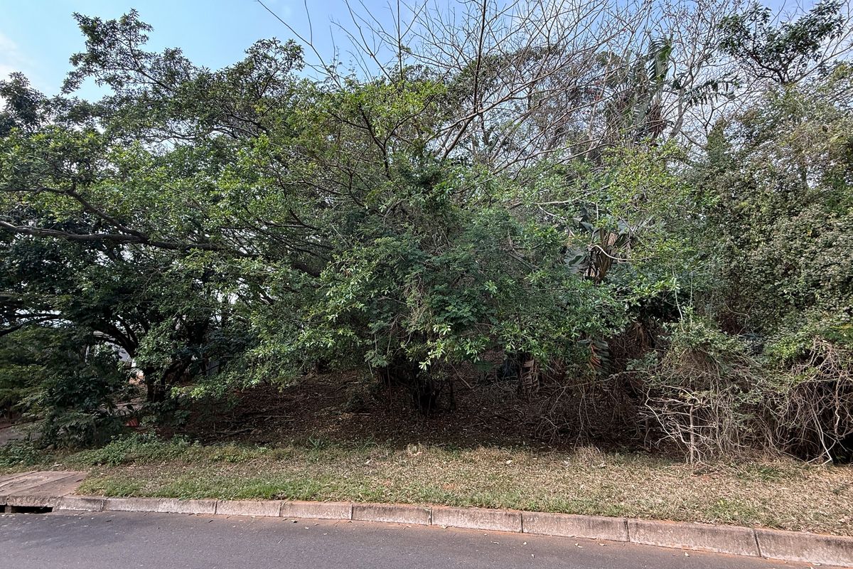 Build Your Dream Home on this Prime Estate Stand - Photo 4