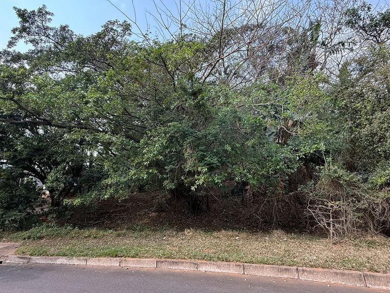 Build Your Dream Home on this Prime Estate Stand - Photo 4