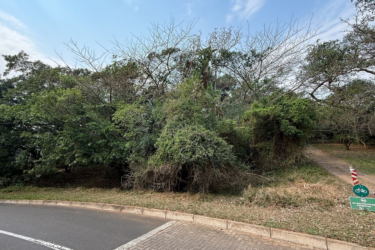 Build Your Dream Home on this Prime Estate Stand - Photo 5