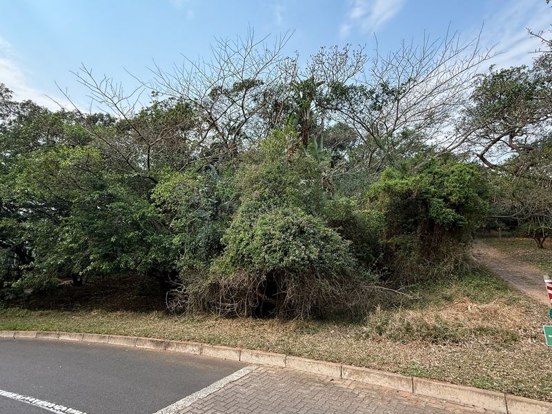 Build Your Dream Home on this Prime Estate Stand - Photo 5