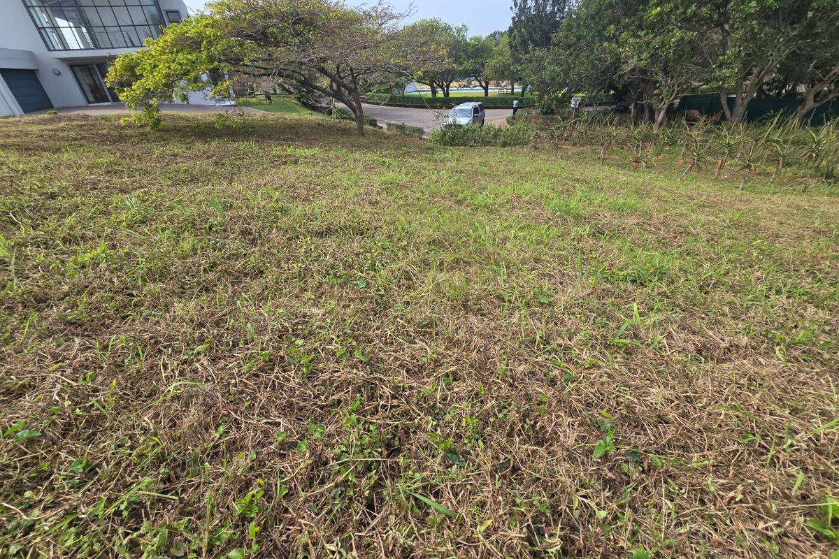 A view of a sloped, grass-covered vacant residential plot with mature trees and surrounding neighborhood landscaping.