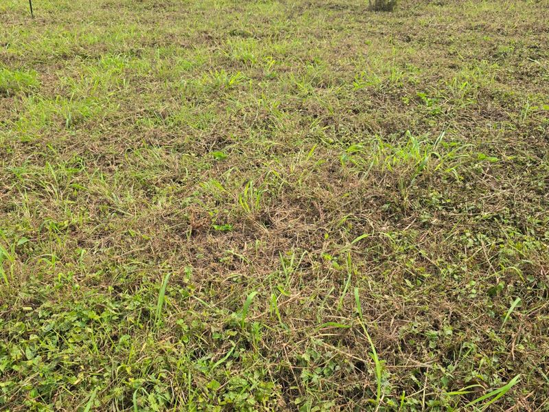 Indulge in Exclusive Estate Living at Nkwazi Ridge, Zinkwazi Beach - Photo 8