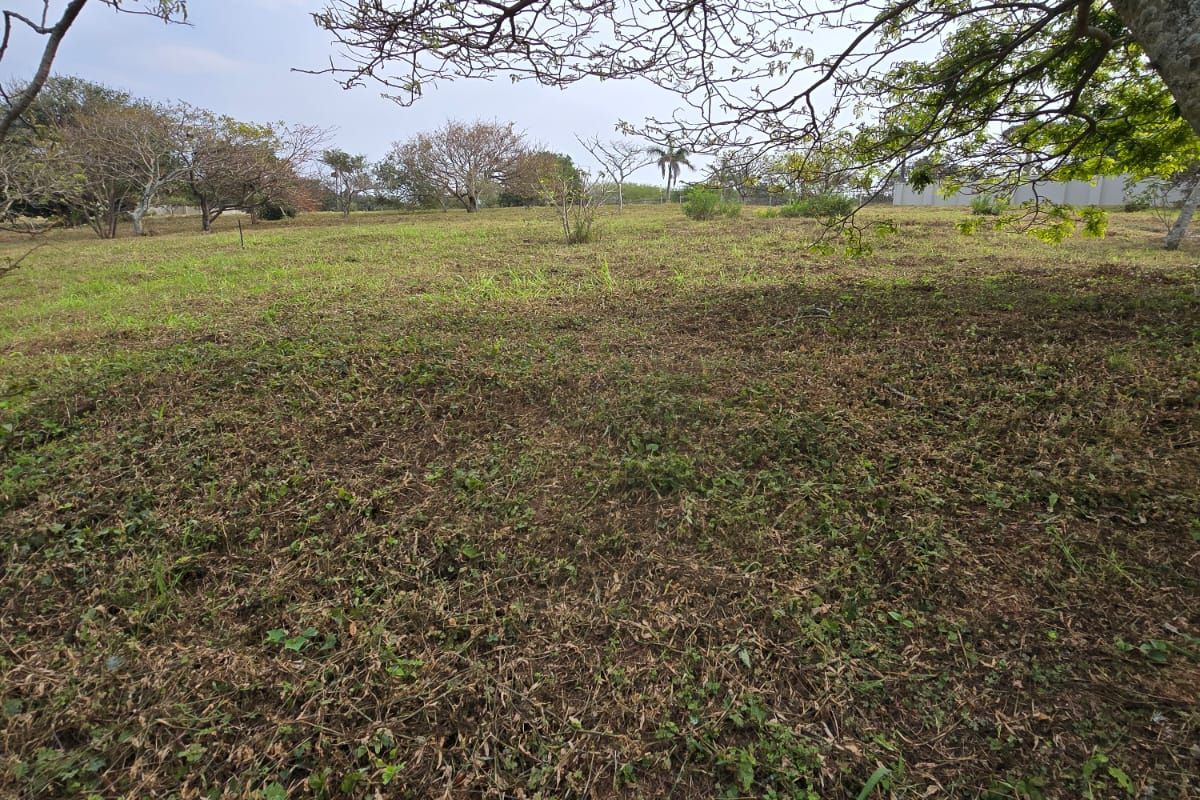 Indulge in Exclusive Estate Living at Nkwazi Ridge, Zinkwazi Beach - Photo 4