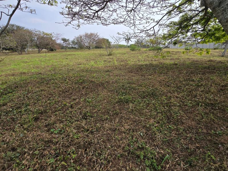 Indulge in Exclusive Estate Living at Nkwazi Ridge, Zinkwazi Beach - Photo 4