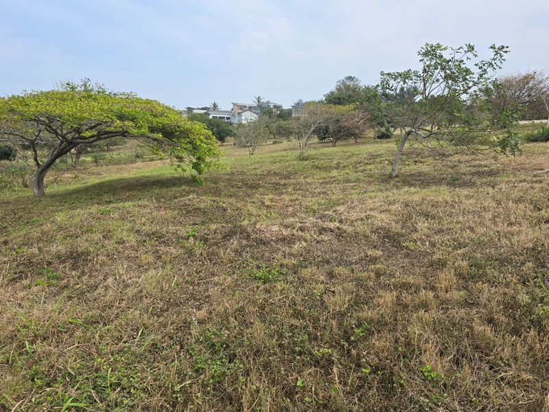 Indulge in Exclusive Estate Living at Nkwazi Ridge, Zinkwazi Beach - Photo 6