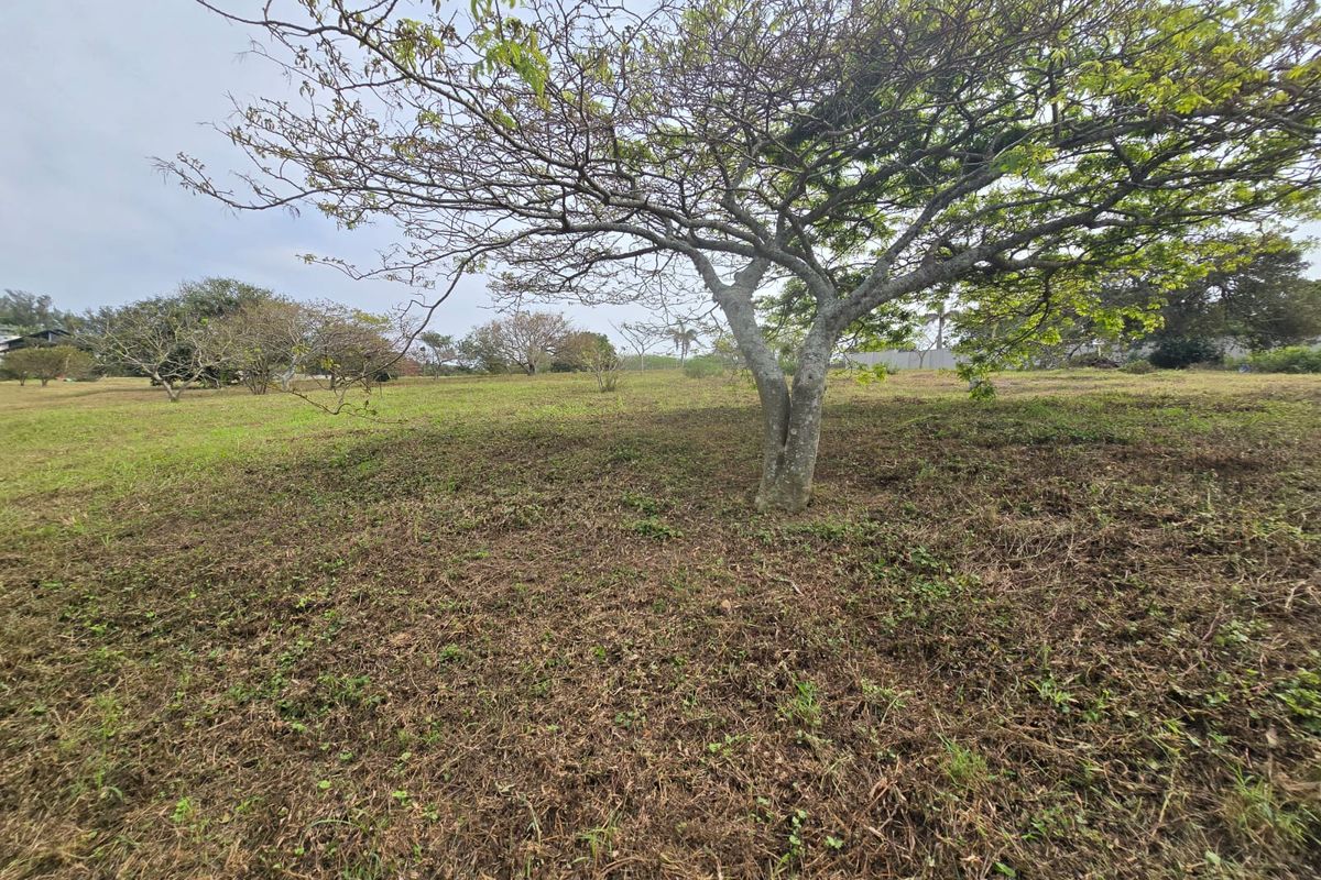 Indulge in Exclusive Estate Living at Nkwazi Ridge, Zinkwazi Beach - Photo 3