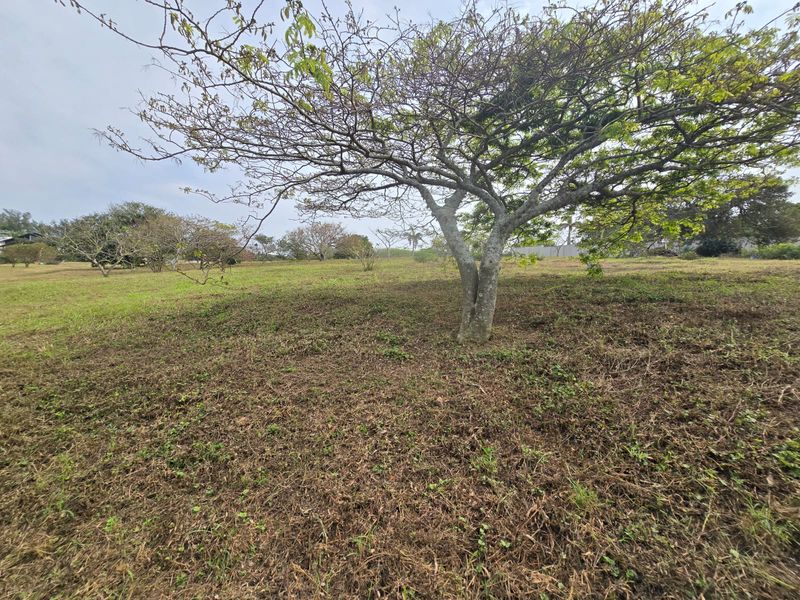 Indulge in Exclusive Estate Living at Nkwazi Ridge, Zinkwazi Beach - Photo 3