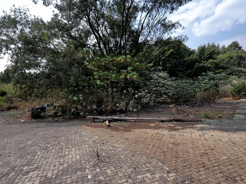 Small Holding For Sale In Benoni - Photo 9