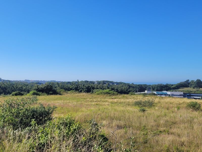 Land For Sale - Photo 10