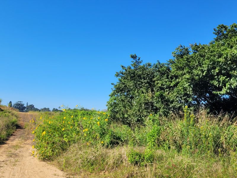 Land for sale Salt Rock City - Photo 10