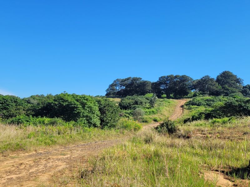 Land for sale Salt Rock City - Photo 6