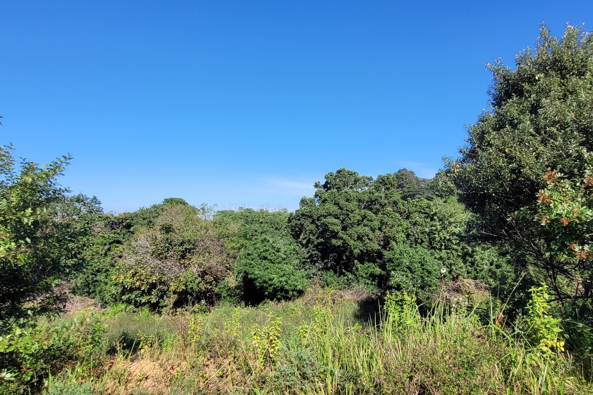 Land for sale Salt Rock City - Photo 5