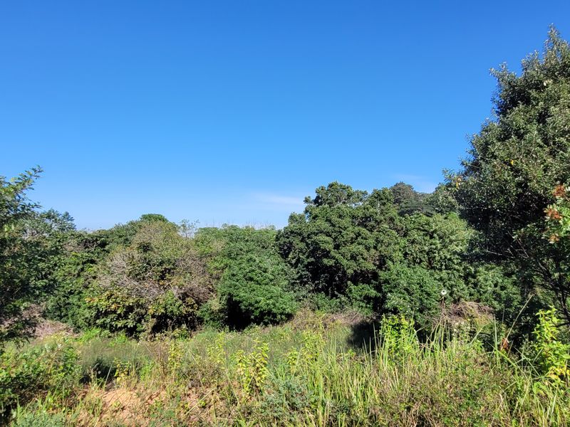 Land for sale Salt Rock City - Photo 5