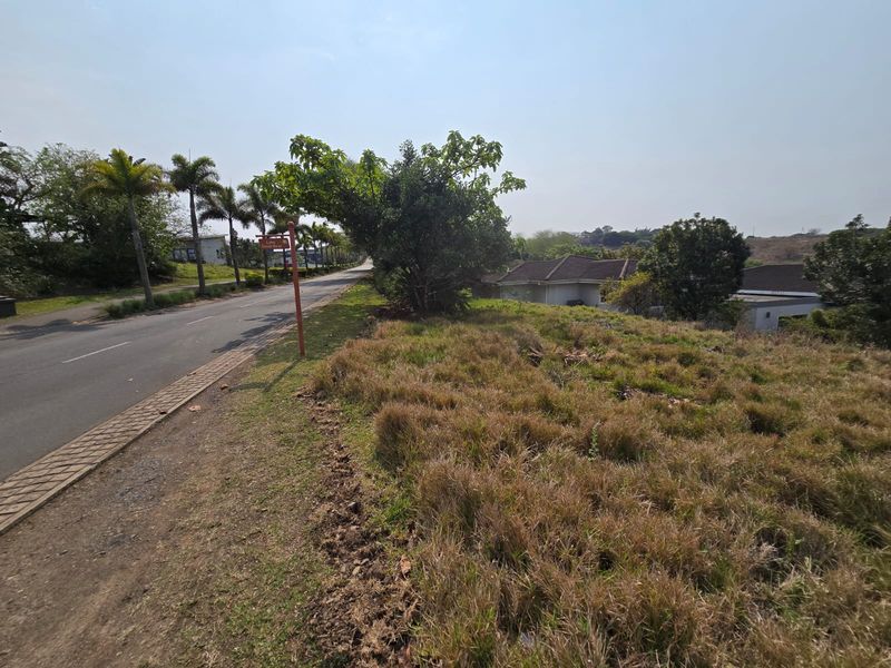 Exclusive 800sqm Vacant Stand in Palm Lakes Estate - Photo 9