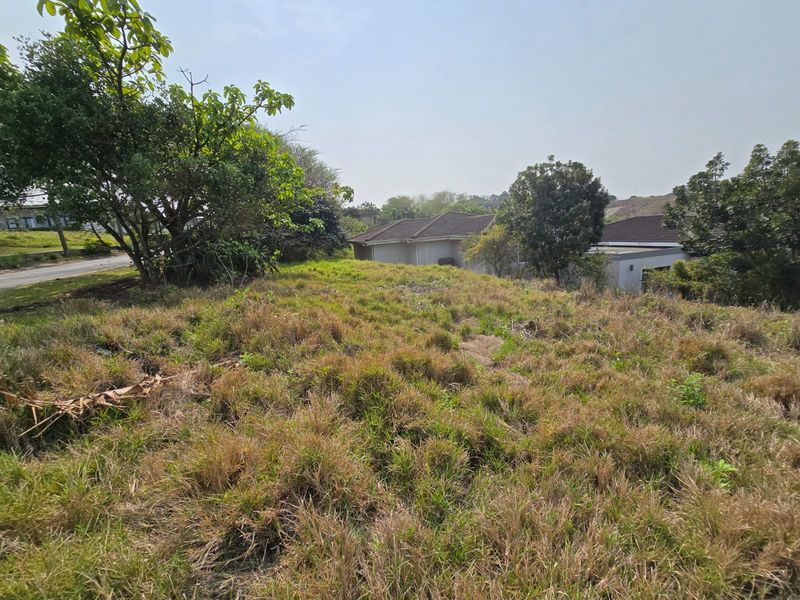 Exclusive 800sqm Vacant Stand in Palm Lakes Estate - Photo 10