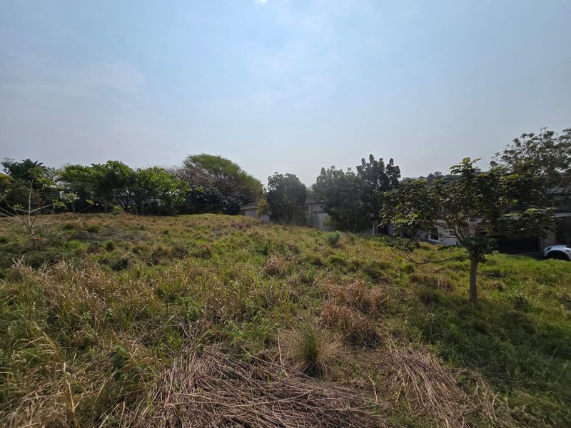 Exclusive 800sqm Vacant Stand in Palm Lakes Estate - Photo 6