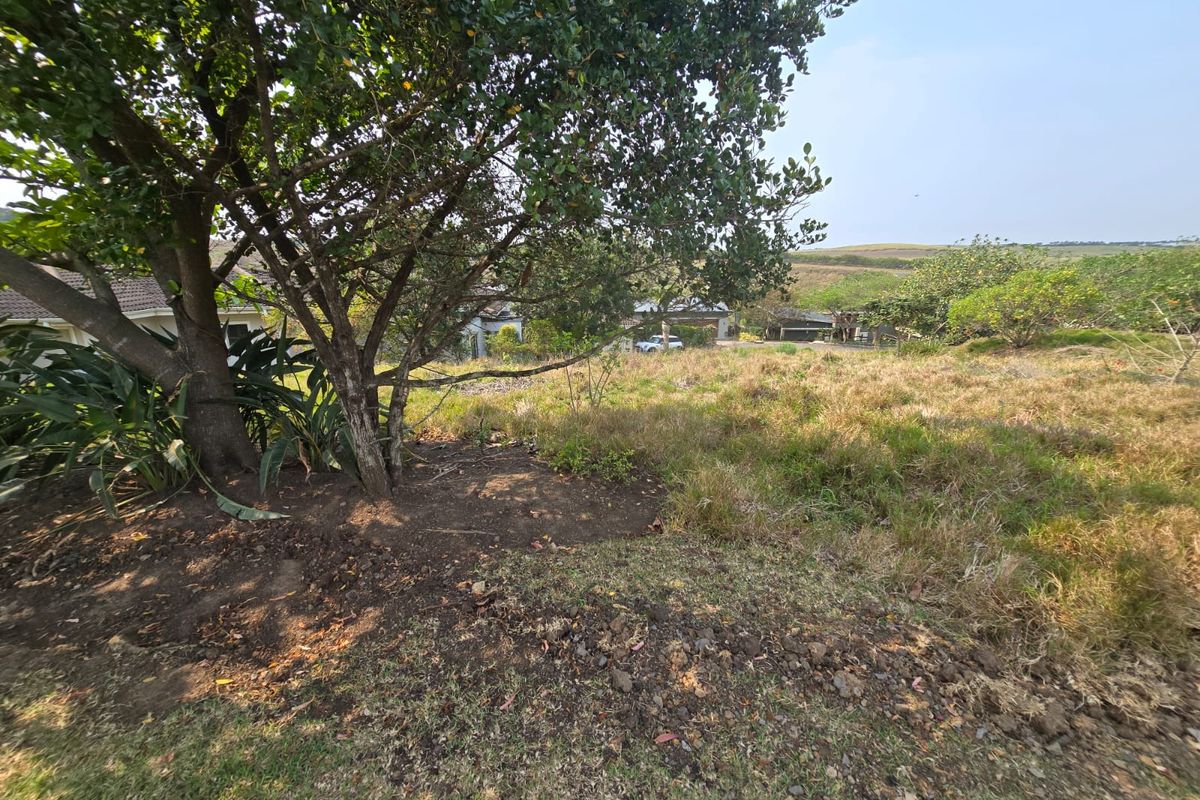 Exclusive 800sqm Vacant Stand in Palm Lakes Estate - Photo 4