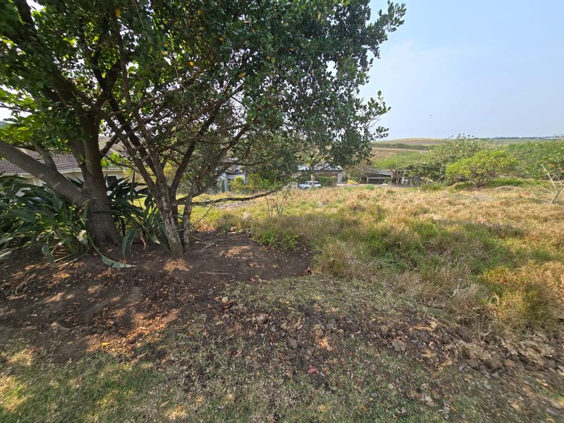 Exclusive 800sqm Vacant Stand in Palm Lakes Estate - Photo 4