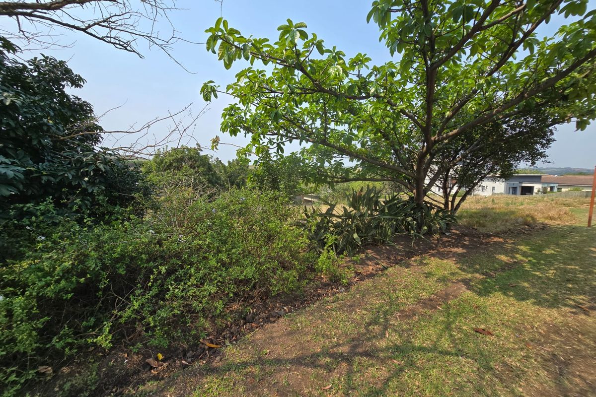 Exclusive 800sqm Vacant Stand in Palm Lakes Estate - Photo 3