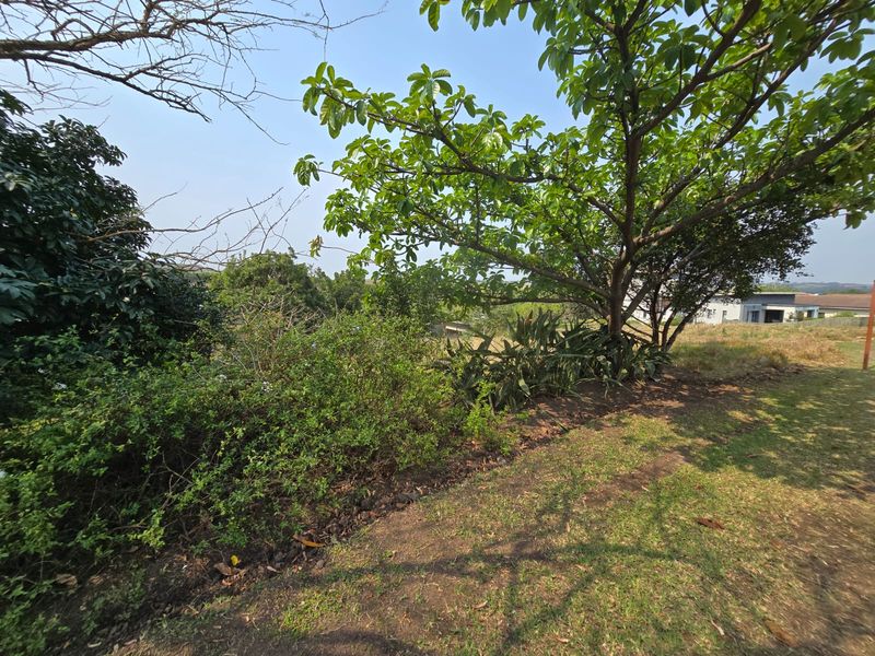 Exclusive 800sqm Vacant Stand in Palm Lakes Estate - Photo 3